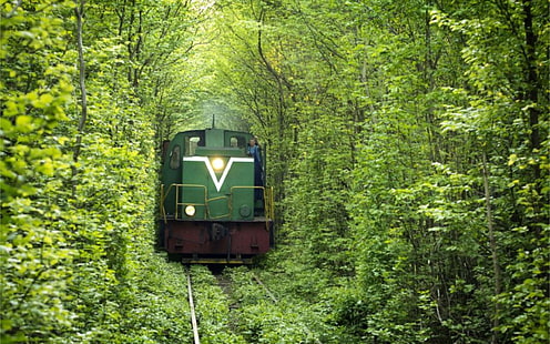 bosque, ferrocarril, tren, túnel del amor, Ucrania, Fondo de pantalla HD HD wallpaper