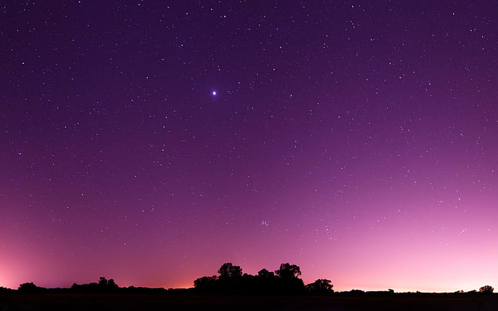 Bright Star In A Pink Sky, senja, terang, bintang, pink, matahari terbenam, alam, dan lanskap, Wallpaper HD