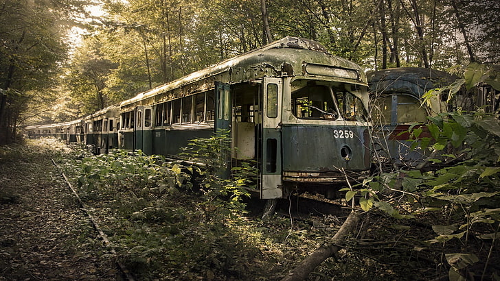 gray and white train, black and white locomotive train surrounded with trees, nature, trees, leaves, vehicle, tram, railway, rail yard, forest, branch, wreck, old, abandoned, broken, rust, ruins, HD wallpaper