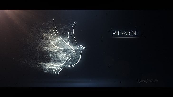 illustration of dove, dove, pure, artwork, digital art, particle, quote, empty, HD wallpaper