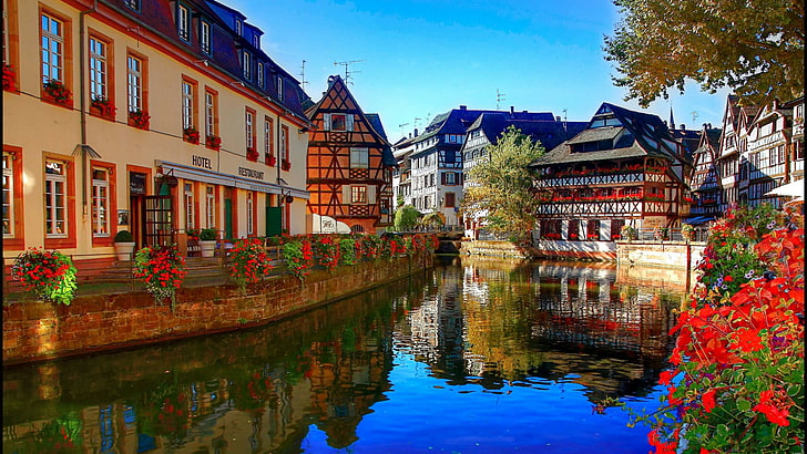 reflection, water, canal, house of tanners, maison des tanneurs, landmark, city, tourist attraction, tree, sky, france, strasbourg, cityscape, europe, HD wallpaper
