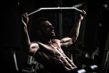 Training, Fitnessstudio, Bodybuilder, HD-Hintergrundbild HD wallpaper