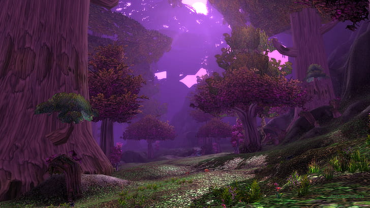 World of Warcraft ، Teldrassil ، Shadowglen ، Night Elves ، الغابة ، ألعاب الكمبيوتر ، التصوير الفوتوغرافي داخل اللعبة ، لقطة الشاشة، خلفية HD