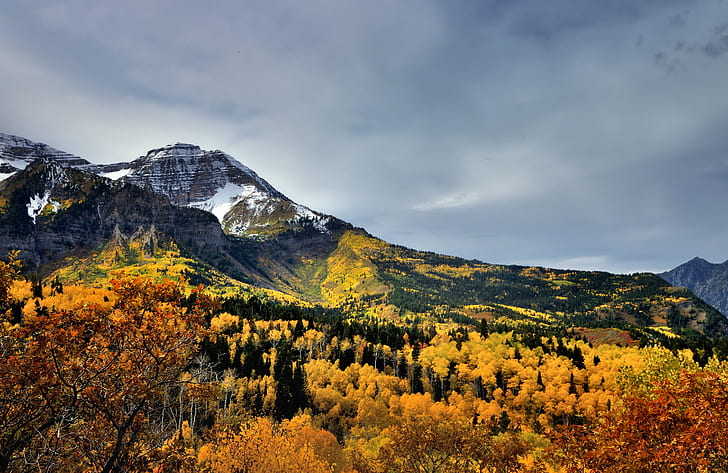 snowy mountain near forest under cloudy sky landscape photography, utah, utah, Utah, snowy mountain, forest, sky landscape, landscape photography, Alpine Loop, Drive, Scenic, American Fork Canyon, Aspen, Leaves, Aspens, Autumn Leaf, Colors, Canvas, Capture, NX2, Edited, Central, Wasatch Range, Cloudy, Color, Pro  Day, Day 6, Evergreen, Hillside, Trees, Landscape, Leaf, Mountain, Distance, Nature, Nikon D90, Outside, Overcast, Portfolio, Rolling, Hwy, Western Rocky Mountains, Provo  Utah, United States, autumn, yellow, scenics, outdoors, beauty In Nature, tree, mountain Peak, HD wallpaper