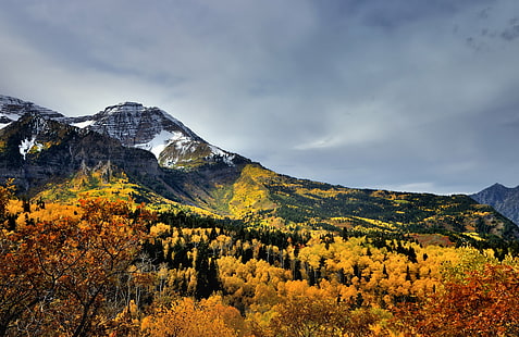 snowy mountain near forest under cloudy sky landscape photography, utah, utah, Utah, snowy mountain, forest, sky landscape, landscape photography, Alpine Loop, Drive, Scenic, American Fork Canyon, Aspen, Leaves, Aspens, Autumn Leaf, Colors, Canvas, Capture, NX2, Edited, Central, Wasatch Range, Cloudy, Color, Pro  Day, Day 6, Evergreen, Hillside, Trees, Landscape, Leaf, Mountain, Distance, Nature, Nikon D90, Outside, Overcast, Portfolio, Rolling, Hwy, Western Rocky Mountains, Provo  Utah, United States, autumn, yellow, scenics, outdoors, beauty In Nature, tree, mountain Peak, HD wallpaper HD wallpaper