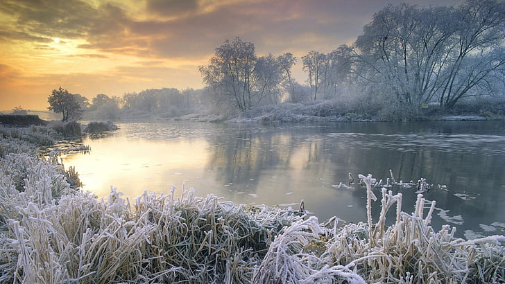 frozen, mist, dawn, tree, freezing, nature, water, reflection, winter, hoarfrost, frost, ice, bank, sky, grass, morning, river, HD wallpaper