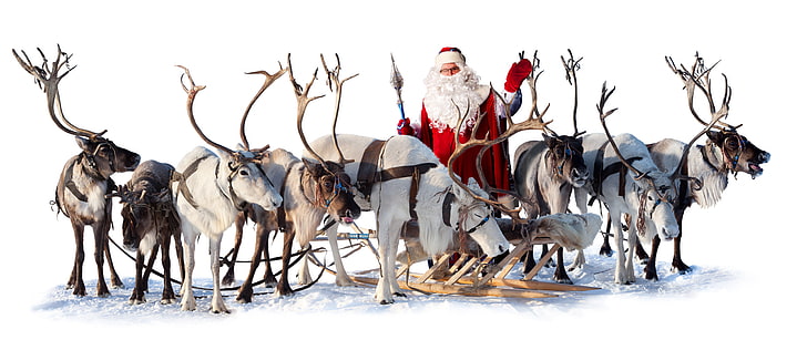 Weihnachtsmann, Schlitten, Weihnachtsmann, Hirsch, HD-Hintergrundbild