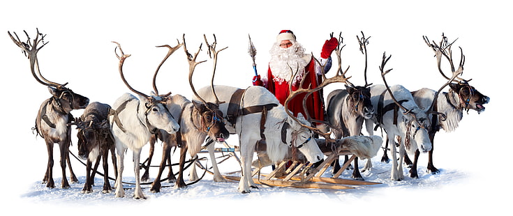 Santa Claus, giring, Santa Claus, rusa, Wallpaper HD HD wallpaper