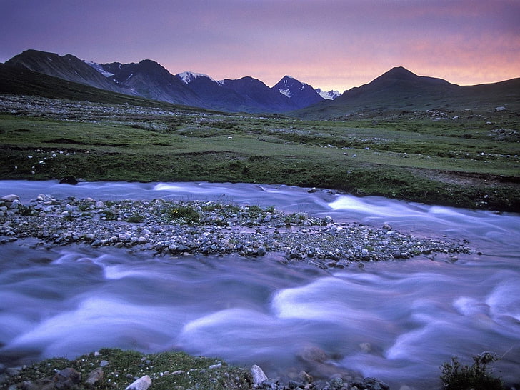 푸른 잔디 필드, 알타이, 강, 산, 돌, 몽골, HD 배경 화면