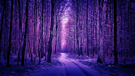 lila landskap, lila skog, skogsväg, skog, skog, skog, stig, stig, vinter, snö, digital målning, digital konst, lila, träd, mörker, HD tapet HD wallpaper