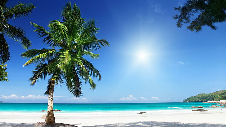 musim panas, langit biru, tropis, eksotis, liburan, pantai, pasir putih, berpasir, pohon palem, pantai, cerah, matahari, Wallpaper HD