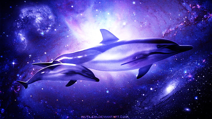 Tier, Delphin, Kosmisch, Galaxie, HD-Hintergrundbild