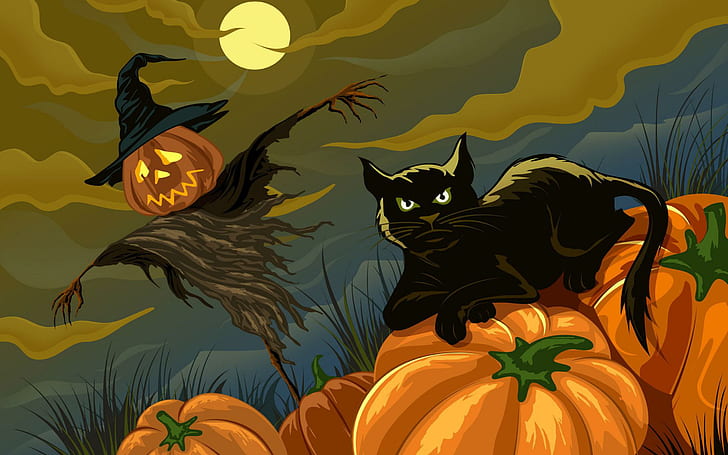 schwarze Katze und Vogelscheuche Feiertag Halloween, schwarze Katze auf Kürbislos, Feiertag Halloween, Halloween, schwarze Katze, HD-Hintergrundbild