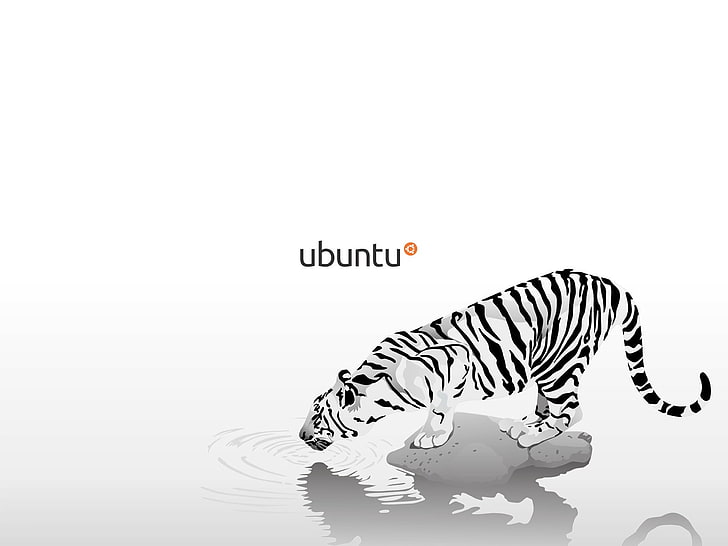 white tiger illustration, Linux, GNU, Ubuntu, HD wallpaper