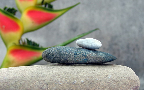 Каменная пачка, фрагмент белого камня, фотография, 1920x1200, камень, HD обои HD wallpaper