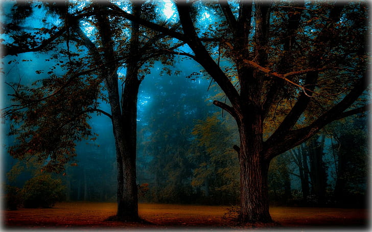 Misty Blue Morning, blau, morgen, neblig, 3d und abstrakt, HD-Hintergrundbild