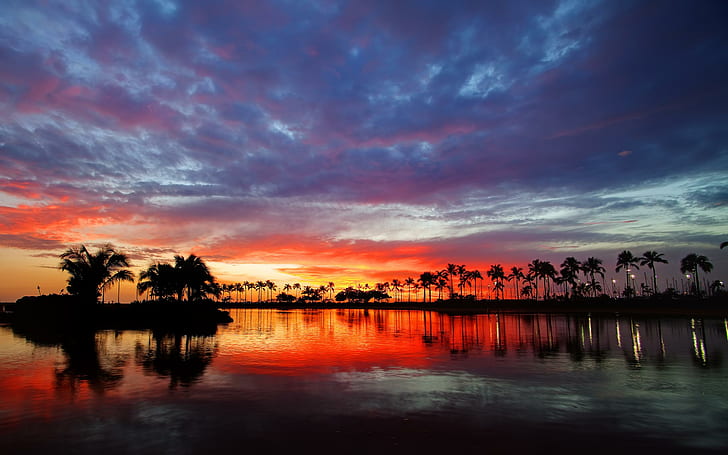 Hawaii Sunset, güzel, görünüm, kırmızı günbatımı, avuç içi, güzel, gün batımı, su, ağaçlar, huzurlu, okyanus, renkli, HD masaüstü duvar kağıdı