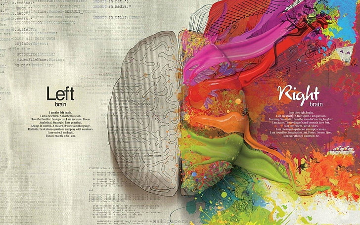 human brain with text overlay, Artistic, Anatomy, HD wallpaper