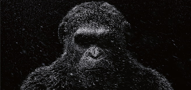 Filmy z 2017 r., Wojna o planetę małp, 4K, Cezar, Tapety HD HD wallpaper
