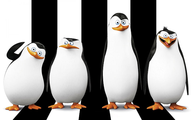 Pinguini del Madagascar, pinguini, Madagascar (film), film, Penguins of Madagascar, Sfondo HD