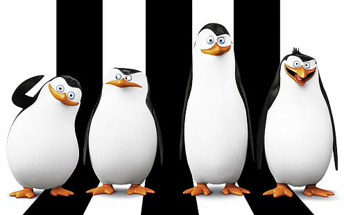 Madagascar penguins, penguins, Madagascar (movie), movies, Penguins of Madagascar, HD wallpaper HD wallpaper