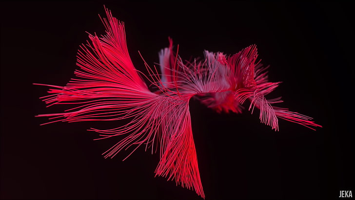 ilustração de fio vermelho, 3D, render, cinema 4D, liquidificador, vidro, HD papel de parede