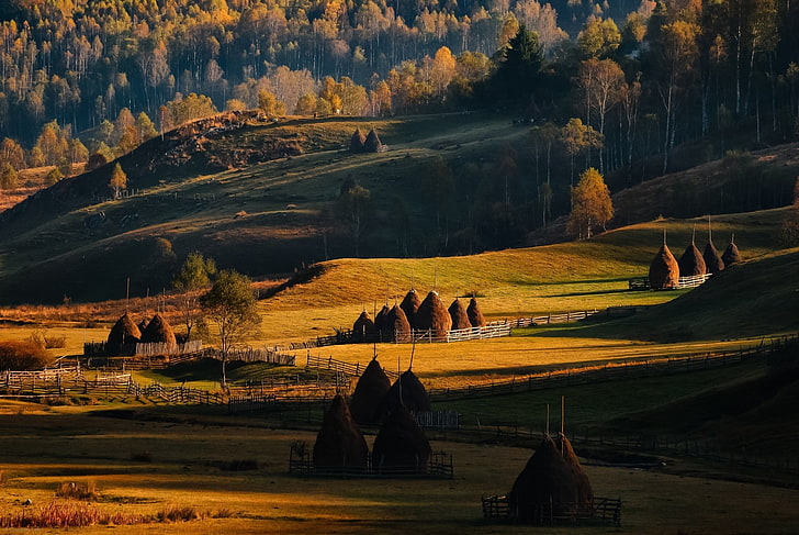 茶色の木、山、秋、フィールド、森林、草、ルーマニア、木、丘、自然、風景、フェンスの近くの緑の葉の木の横にある茶色の家、 HDデスクトップの壁紙
