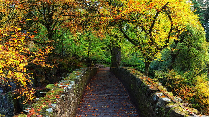 أشجار ذات أوراق متنوعة الألوان، طبيعة، غابة، جسر، نهر، اسكتلندا، خريف، الصخور، برية، خلفية HD
