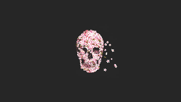 Sugar Skull, teschio, rosa, Sfondo HD