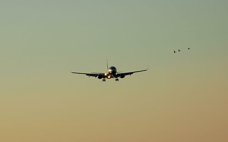 Boeing Ling, Werbung, Flugzeuge, Landung, Verkehrsflugzeug, Abenddämmerung, Flugzeuge, HD-Hintergrundbild
