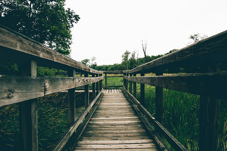 ponte di legno marrone, paesaggio, natura, Sfondo HD