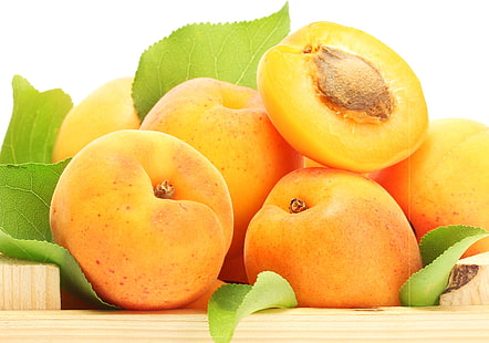 buah bulat kuning, aprikot, buah, batu, Wallpaper HD HD wallpaper