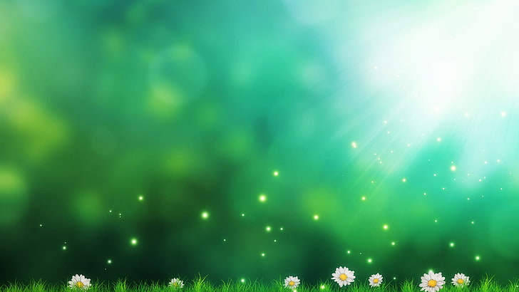 green, nature, grass, glowing, glow, sky, sunlight, dew, meadow, daisies, field, shines, shimmer, shine, flower field, HD wallpaper