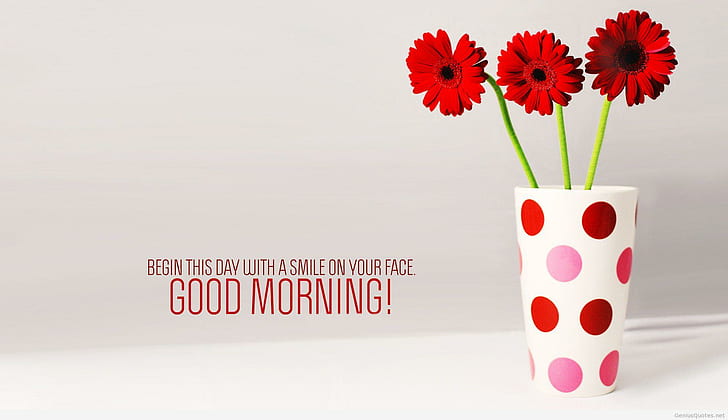 selamat pagi salam motivasi, selamat pagi, salam, motivasi, mood, Wallpaper HD