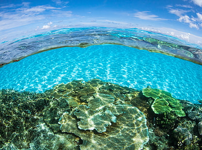 Половина Подводный Половина над водой HD обои, зеленые коралловые рифы, путешествия, острова, земля, океан, синий, экзотические, пляж, рай, лето, подводный, свет, Азия, волны, вода, тропический, голубой, широкий, цифровой, Япония,Кристалл, Коралл, Приморский, Канон, Водный пейзаж, Отпуск, Рыбий глаз, уникальные, места, жилье, направления, Хатэрума, Исигаки, Окинава, Сисейа, HD обои HD wallpaper