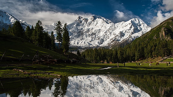гора, сняг, Nanga Parbat, Пакистан, езеро, планини, отражение, борови дървета, дървета, HD тапет HD wallpaper