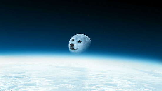 Humor, Doge, Moon, HD tapet HD wallpaper