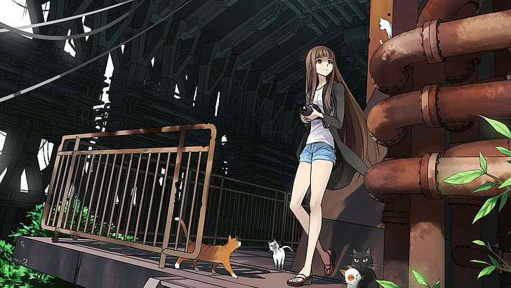 Anime Girls, cat, Jean Shorts, short Shorts, shorts, HD wallpaper