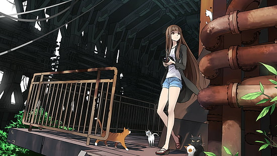 สาวอะนิเมะ, แมว, กางเกงยีนส์, กางเกงขาสั้นสั้น, กางเกงขาสั้น, วอลล์เปเปอร์ HD HD wallpaper