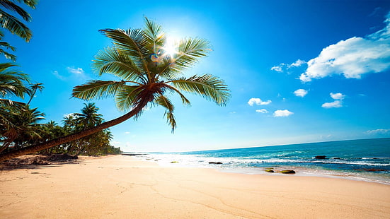 menakjubkan alam-wallpaper pemandangan alam yang indah, pohon kelapa hijau dekat pantai di bawah langit biru pada siang hari, Wallpaper HD HD wallpaper