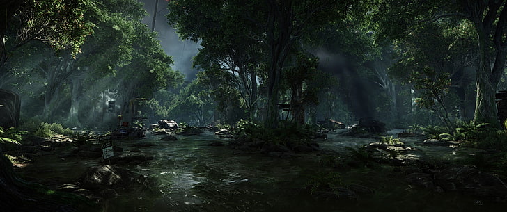 trilha da floresta, Crysis 3, jogos de vídeo, floresta, córrego, HD papel de parede