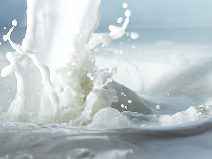белое молоко, макро, белое, молоко, брызги, жидкость, HD обои HD wallpaper