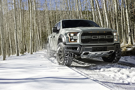 szary Ford SuperCrew, zima, śnieg, ford, brzoza, Raptor, pickup, F-150, Tapety HD HD wallpaper