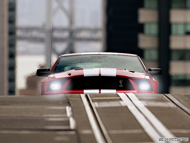 Ford Mustang, Shelby Cobra, Tapety HD