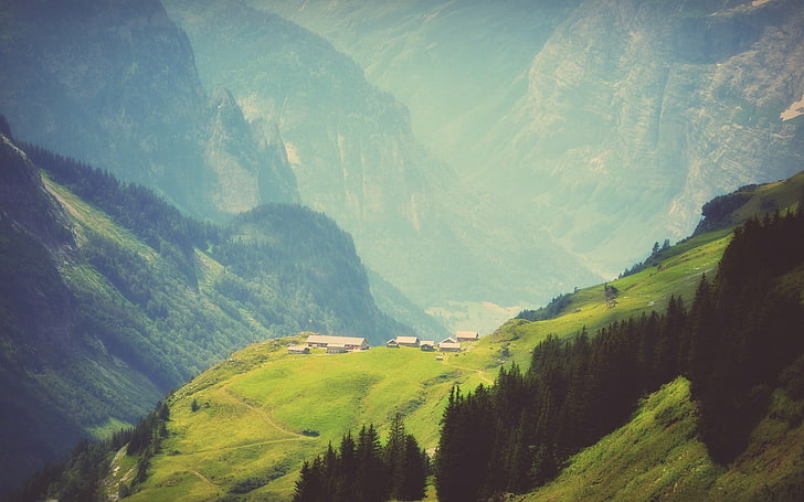 grüne Kiefern, Luftbild von Häusern auf Hügel, Natur, Berge, Schweiz, Bäume, KDE, Landschaft, Nebel, HD-Hintergrundbild