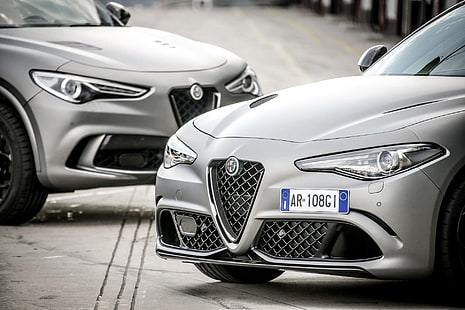 Alfa Romeo Stelvio Quadrifoglio NRING, alfa stelvio quadrifoglio nring, samochód, Tapety HD HD wallpaper