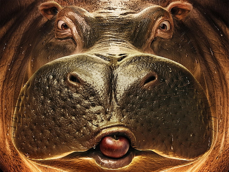 хипопотам илюстрация, лице, ябълка, хипопотам, HD тапет