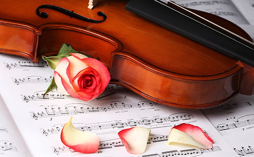 クラシック音楽、茶色のバイオリンとピンクのバラ、音楽、バイオリン、クラシック音楽、 HDデスクトップの壁紙 HD wallpaper