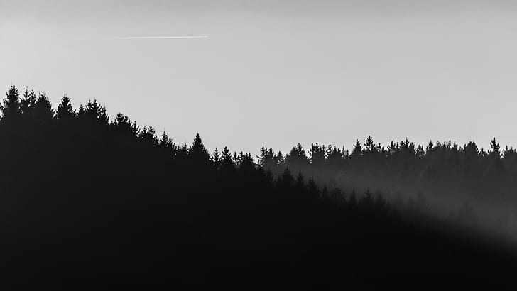 Natur, Bäume, Dunkelheit, Landschaft, HD-Hintergrundbild