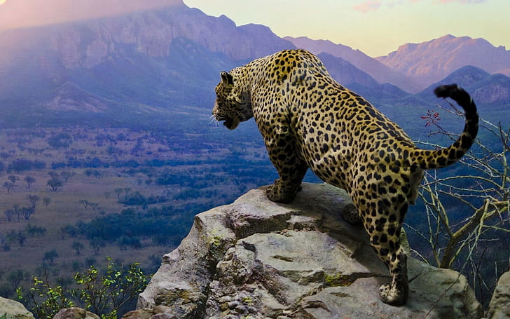 Jaguar w górach, lampart, jaguar, koty, góry, niebo, Tapety HD